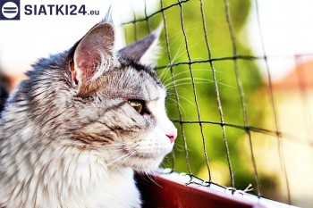 Siatki Szydłowiec - Siatka na balkony dla kota i zabezpieczenie dzieci dla terenów Szydłowca